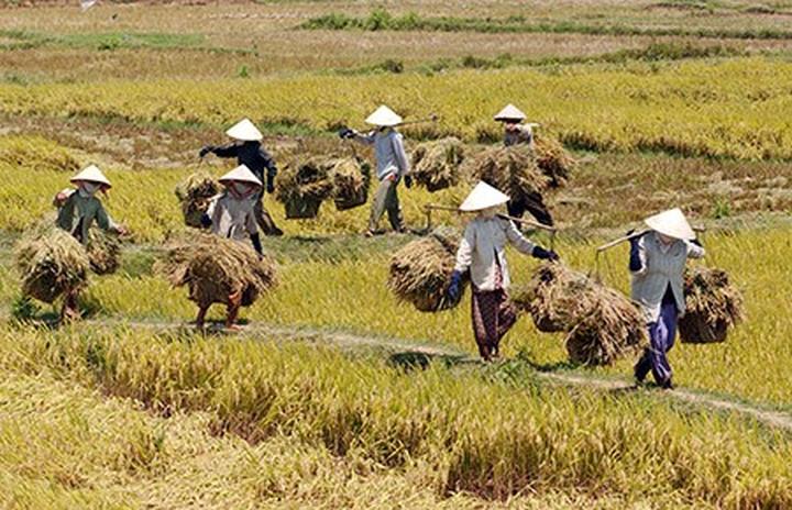 Xu hướng Đắp thứ này lên da 1 lần/tuần: Hotspot Matrix tiết lộ bí quyết video viral