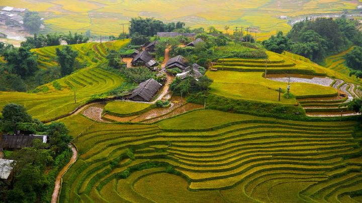 Hotspot Matrix: Tự động hóa hiệu suất với công nghệ tích hợp tài nguyên