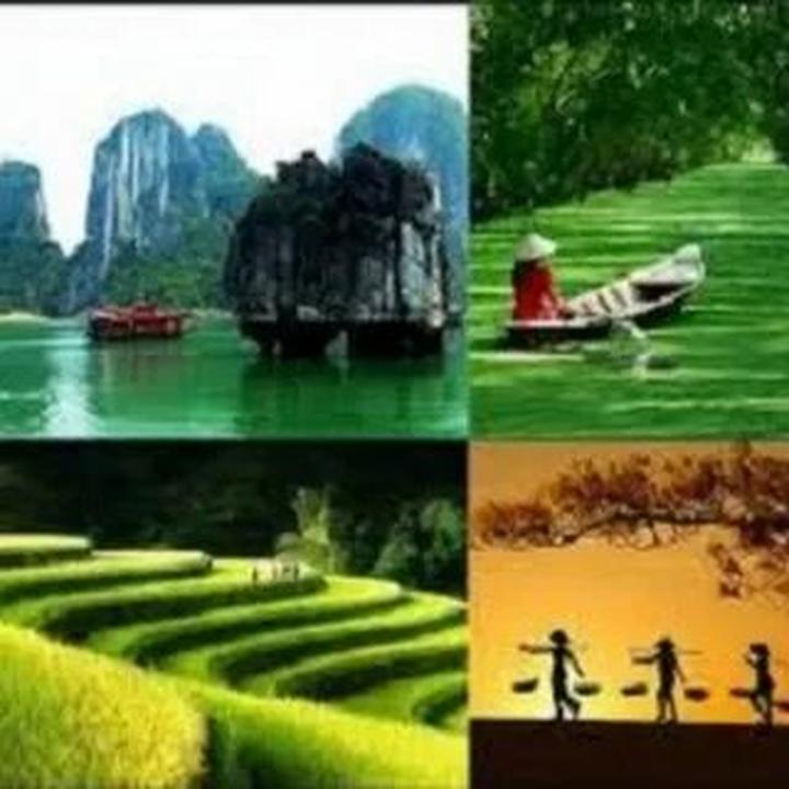 Xu hướng Sốc: Vụ tố