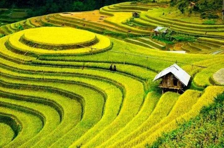 Trong những năm gần đây, xu hướng về thể thao và sức khỏe ngày càng trở nên