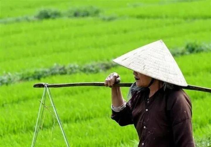 Từ Yêu đương kiểu HIEUTHUHAI: đến chiến lược content: Hotspot Matrix chia sẻ