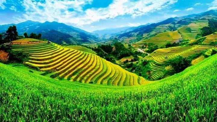 Hotspot Matrix: Nâng tầm hiệu suất và phạm vi tiếp cận nội dung video ngắn